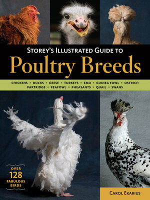 cover image of Storey's Illustrated Guide to Poultry Breeds